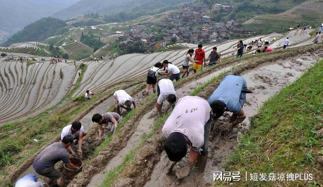 广西林场改革最新动态报道