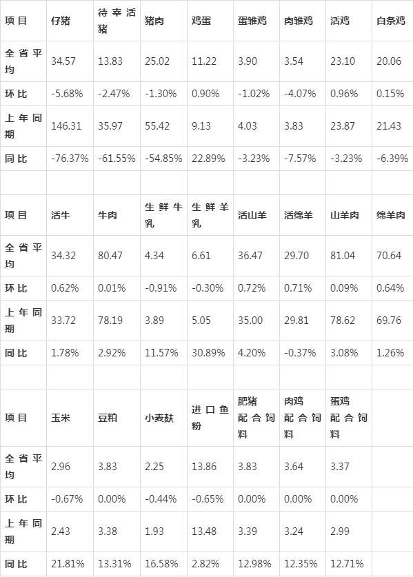 广西猪价最新动态，今日走势分析与预测