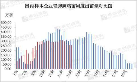 市场动态解析，最新青脚麻鸡市场价格报告