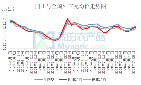 最新生猪价格分析与预测，因素探讨与趋势预测（27日更新）