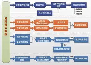 新澳精准资料免费提供网站有哪些，实地观察解释定义_体验式版本1.26.867