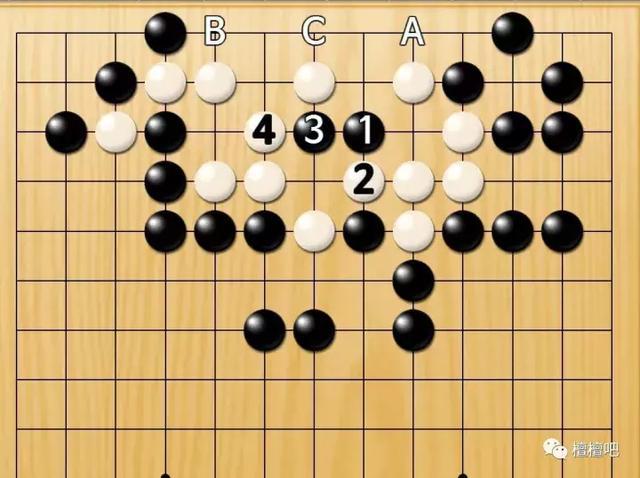 2024新澳兔费资料琴棋,合理解释解答落实_时尚版81.068