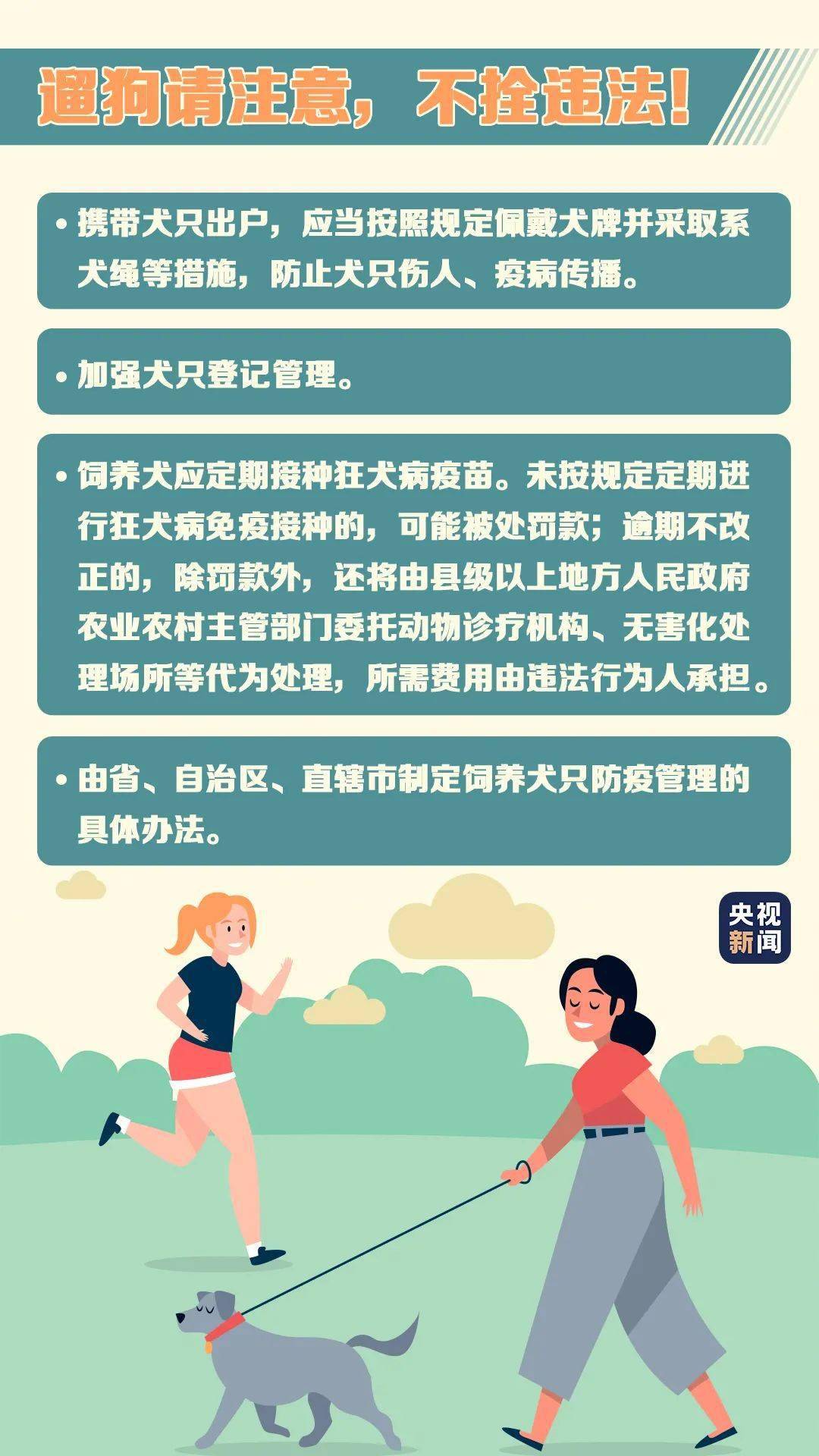 11月4日文明养犬新篇章，拥抱变化，共启人与犬的励志成长之旅