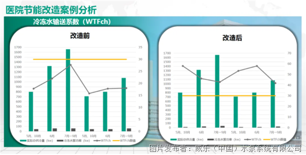 11月4日威乐币最新消息与解读，多方观点碰撞