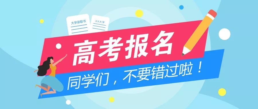 山东高考最新录取政策解读，探析影响与观点分歧，11月5日最新录取动态分析