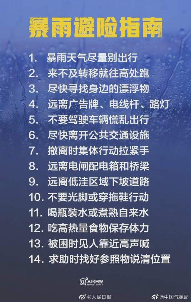 11月6日最新实时台风消息视频，关注台风动态的全面报道