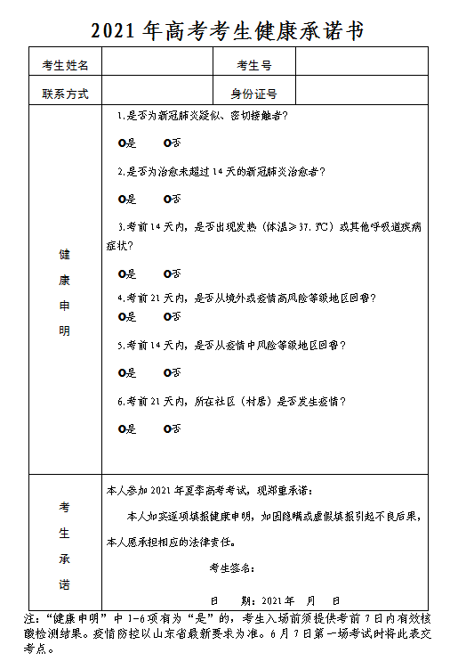 11月8日四女劫全新版本解析，特性、体验与竞品对比深度探讨