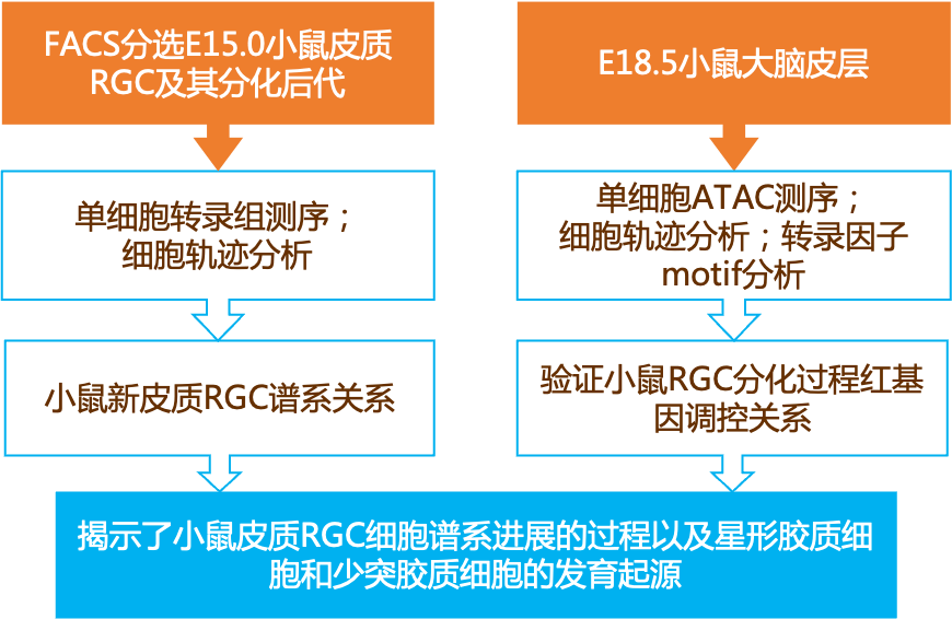 2024新奥资料免费精准解读，综合分析与解答——JDF918.16直观版