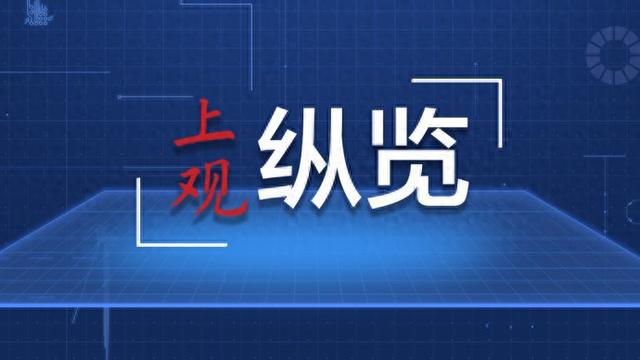 2024澳门精准免费攻略，素材方案详解及参与指南_OC V814.25