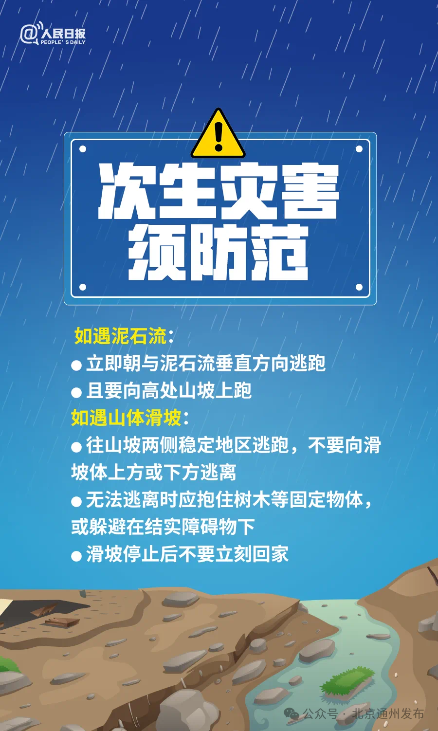 11月10日濮阳市最新招聘信息解析，职场机遇与挑战的深度探讨与个人立场