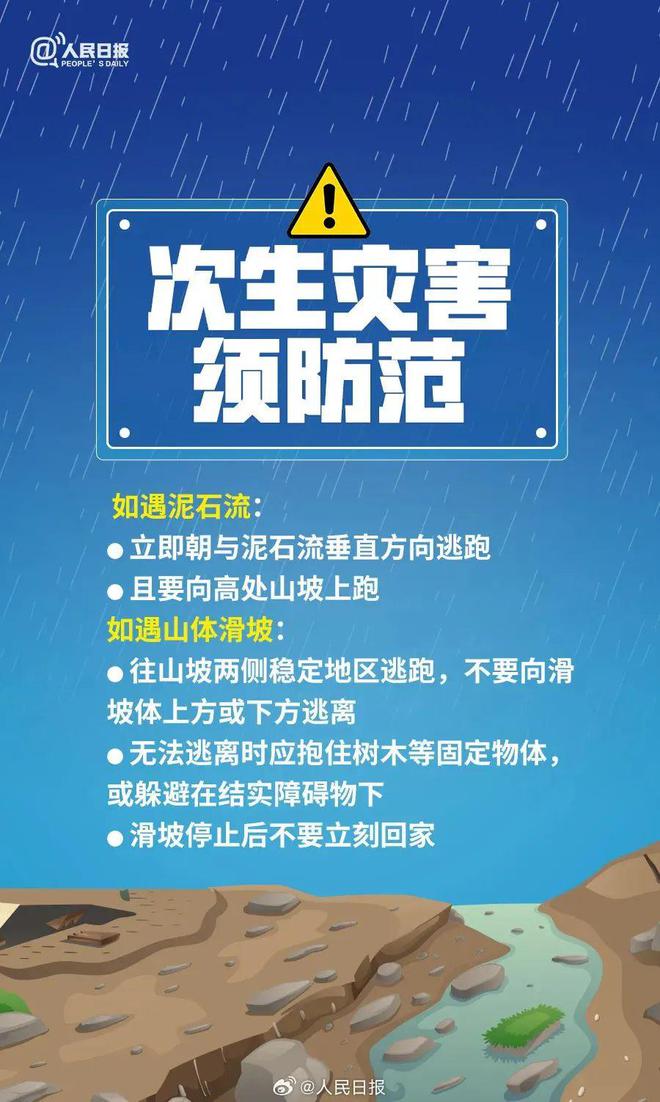 最新森林公安改革指南，步骤、策略及应用（初学者与进阶用户必读）