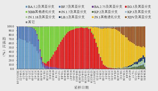 2024年冠状新病毒最新状况全面评测与介绍