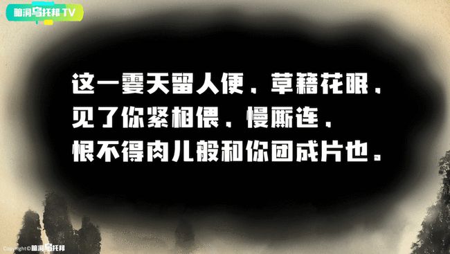 本周金瓶梅深度解析与最新动态探讨