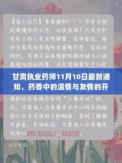 甘肃执业药师11月10日最新通知，药香中的温情与友情的开启