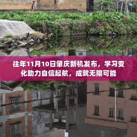 往年11月10日肇庆新机发布，学习变化助力自信起航，成就无限可能