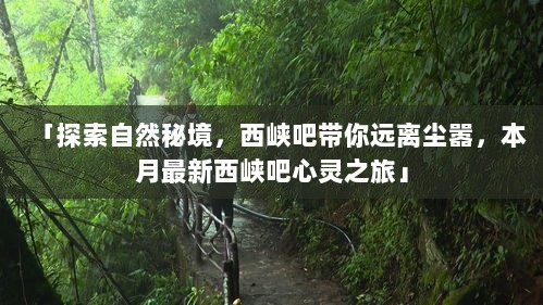 「探索自然秘境，西峡吧带你远离尘嚣，本月最新西峡吧心灵之旅」