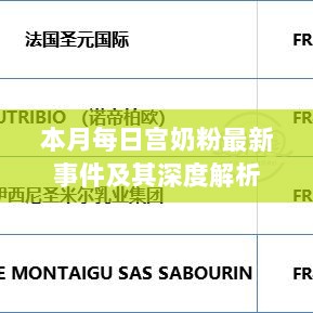 本月每日宫奶粉最新事件及其深度解析