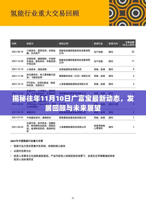 揭秘往年11月10日广富宝最新动态，发展回顾与未来展望