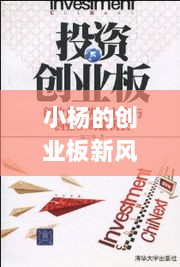 小杨的创业板新风尚，日常创业与友情岁月的新玩法