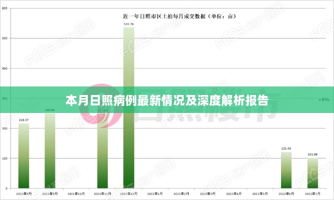 本月日照病例最新情况及深度解析报告