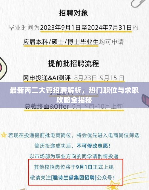 最新丙二大管招聘解析，热门职位与求职攻略全揭秘