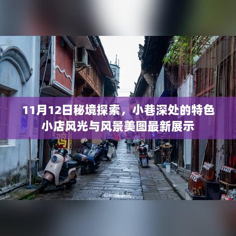 11月12日秘境探索，小巷深处的特色小店风光与风景美图最新展示