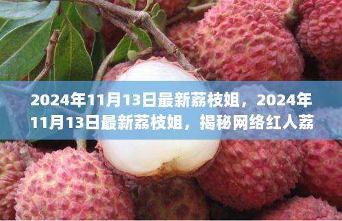 揭秘荔枝姐的成功之路，从网络红人到今日的最新动态（2024年11月13日）