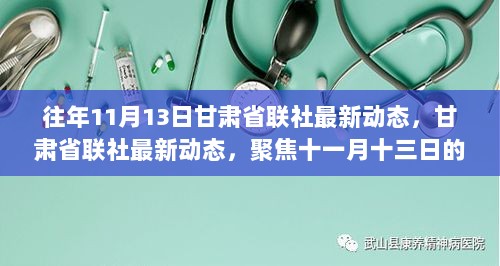 甘肃省联社最新动态聚焦，十一月十三日的探讨与观点分析