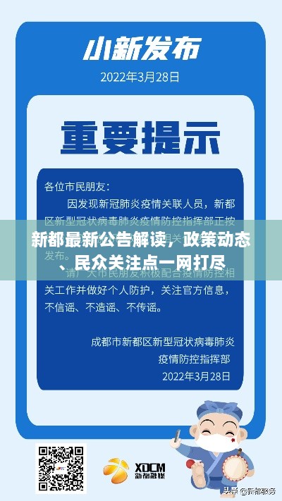 新都最新公告解读，政策动态、民众关注点一网打尽