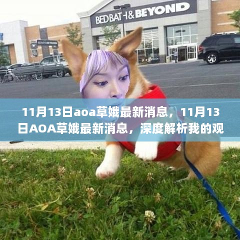 11月13日AOA草娥最新消息深度解析，我的观点