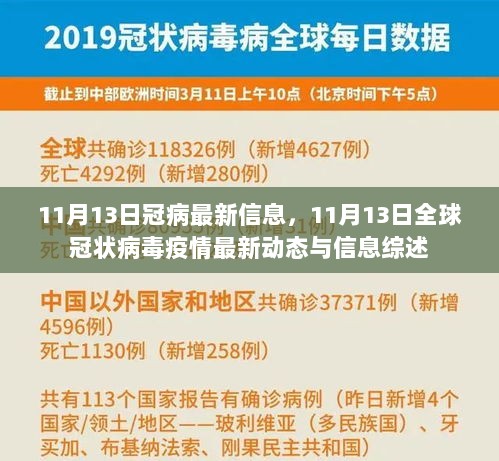 11月13日全球冠状病毒疫情最新动态与信息综述，疫情最新信息一览