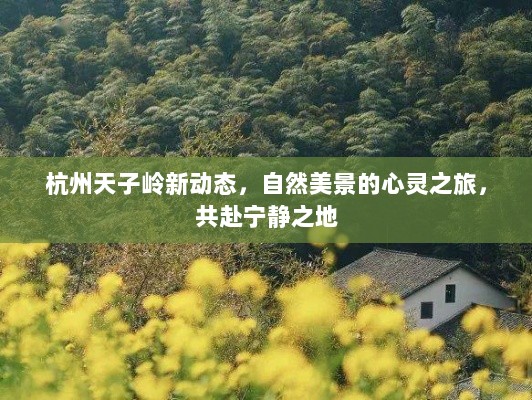 杭州天子岭新动态，自然美景的心灵之旅，共赴宁静之地