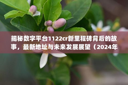 揭秘数字平台1122cr新里程碑背后的故事，最新地址与未来发展展望（2024年11月12日）