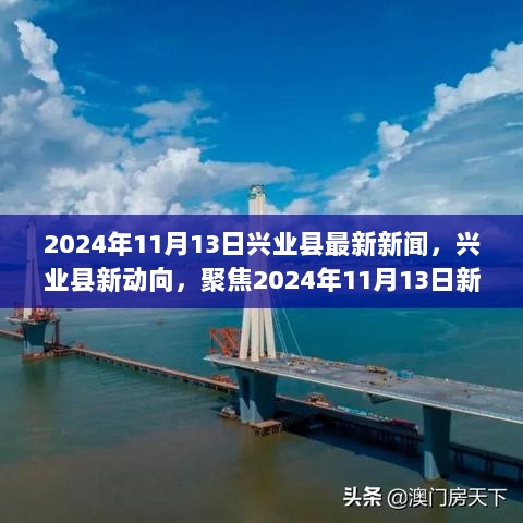 兴业县新动向，聚焦多元观点下的最新新闻事件论述（2024年11月13日）