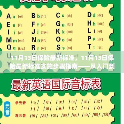 11月13日保险最新标准详解与实施步骤指南