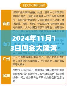 2024年11月13日四会大隆湾最新消息解读指南，初学者与进阶用户必读