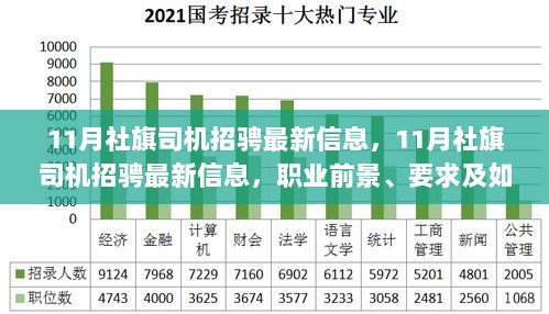 11月社旗司机招聘最新信息及职业前景、要求和应聘指南