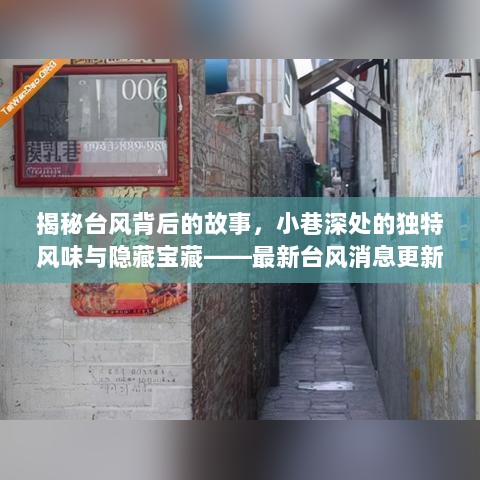 揭秘台风背后的故事，小巷深处的独特风味与隐藏宝藏——最新台风消息更新