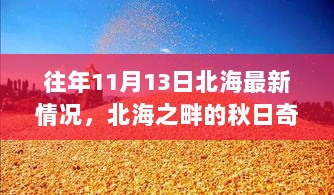 北海秋日奇遇，最新动态与温暖时光回顾（往年1月）