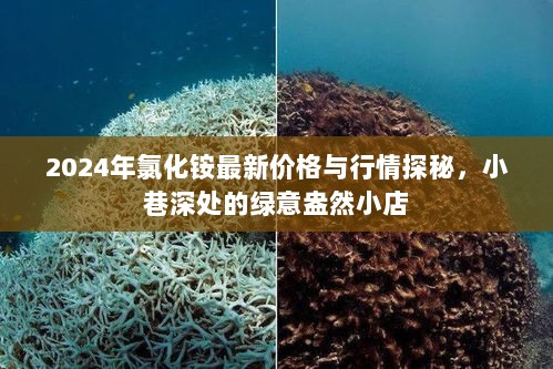 2024年氯化铵最新价格与行情探秘，小巷深处的绿意盎然小店