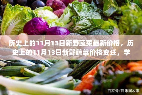 历史上的新野蔬菜价格变迁，绿叶中的励志故事，学习变化，自信成就梦想！