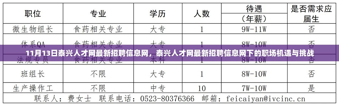 泰兴人才网最新招聘信息网，职场机遇与挑战揭秘