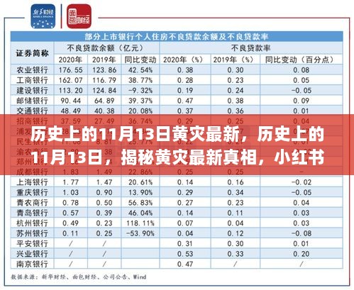 小红书揭秘，历史上的11月13日黄灾真相大揭秘