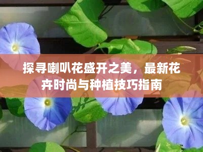 探寻喇叭花盛开之美，最新花卉时尚与种植技巧指南