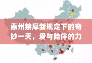 惠州禁摩新规定下的奇妙一天，爱与陪伴的力量——历史上的11月13日回顾