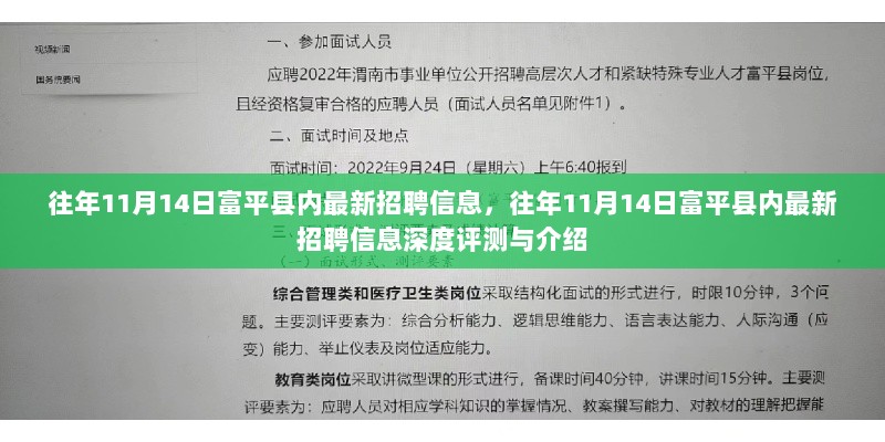 往年11月14日富平县最新招聘信息详解与评测