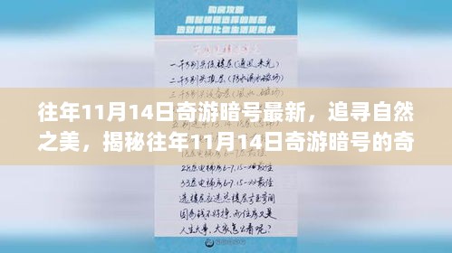 揭秘往年11月14日奇游暗号的奇幻之旅，追寻自然之美与奇幻之旅的启程