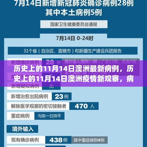 澳洲疫情观察，揭秘11月14日病例增长背后的真相