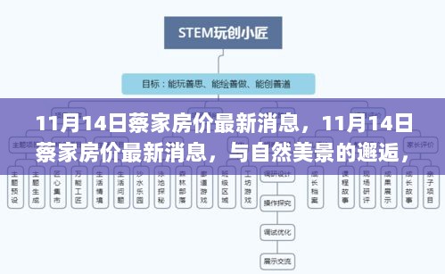 11月14日蔡家房价最新消息，与自然美景的邂逅，开启内心平和之旅