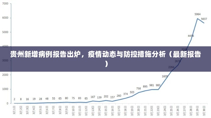 贵州新增病例报告出炉，疫情动态与防控措施分析（最新报告）